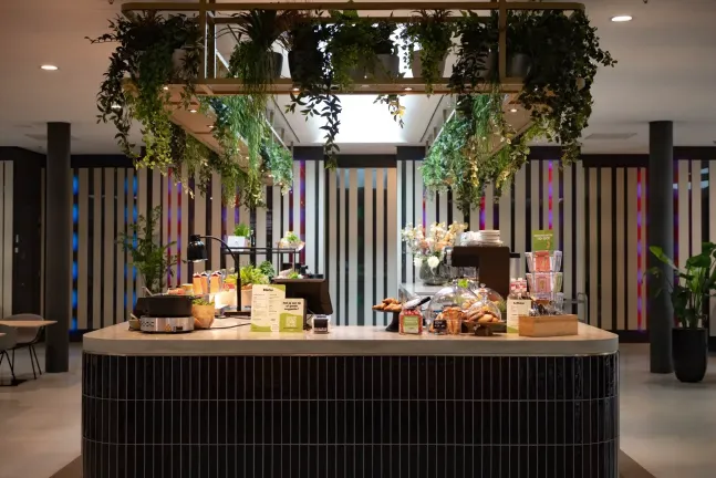 Plantjes decoratie 3 Pre-wonen